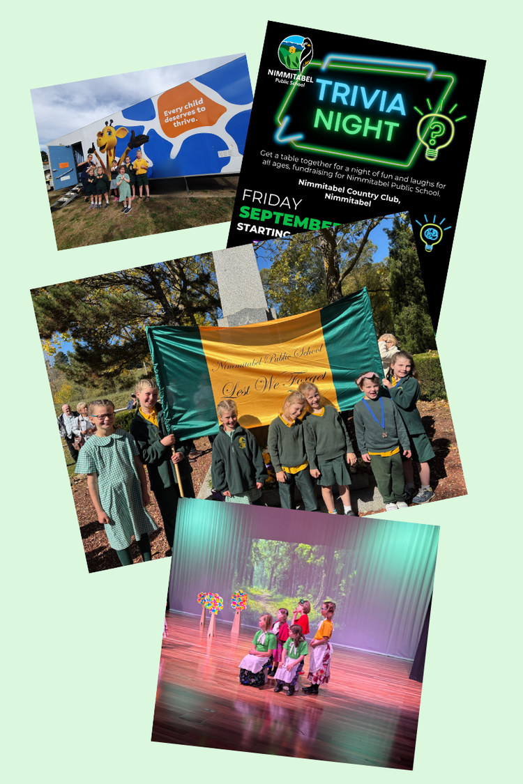 A collage of different activities that happen at our school including Healthy Harold, Trivia Night, Anzac Day and Performing Arts festival.